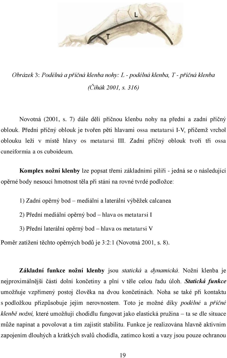 Komplex nožní klenby lze popsat třemi základními pilíři - jedná se o následující opěrné body nesoucí hmotnost těla při stání na rovné tvrdé podložce: 1) Zadní opěrný bod mediální a laterální výběžek