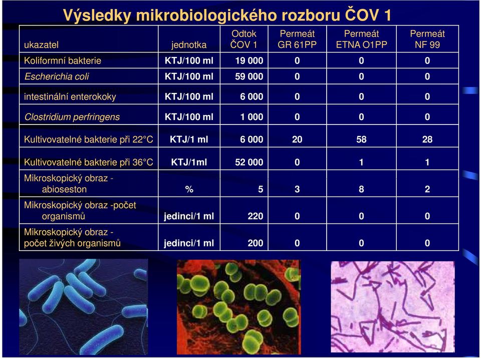 Permeát NF 99 Kultivovatelné bakterie při 22 C KTJ/1 ml 6 000 20 58 28 Kultivovatelné bakterie při 36 C KTJ/1ml 52 000 0 1 1 Mikroskopický obraz