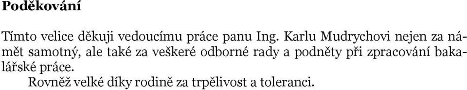 veškeré odborné rady a podněty při zpracování bakalářské