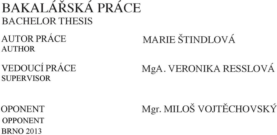 JAN ŠTINDLOVÁ DROZD VEDOUCÍ PRÁCE SUPERVISOR MgA. Doc. akad.