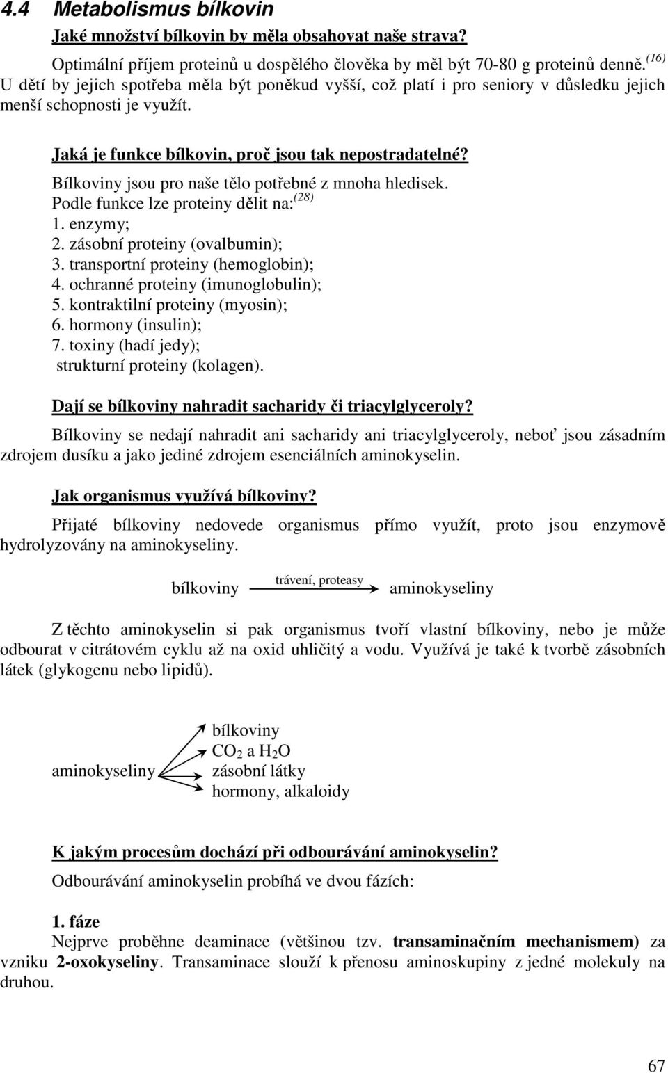 Bílkoviny jsou pro naše tělo potřebné z mnoha hledisek. Podle funkce lze proteiny dělit na: (28) 1. enzymy; 2. zásobní proteiny (ovalbumin); 3. transportní proteiny (hemoglobin); 4.