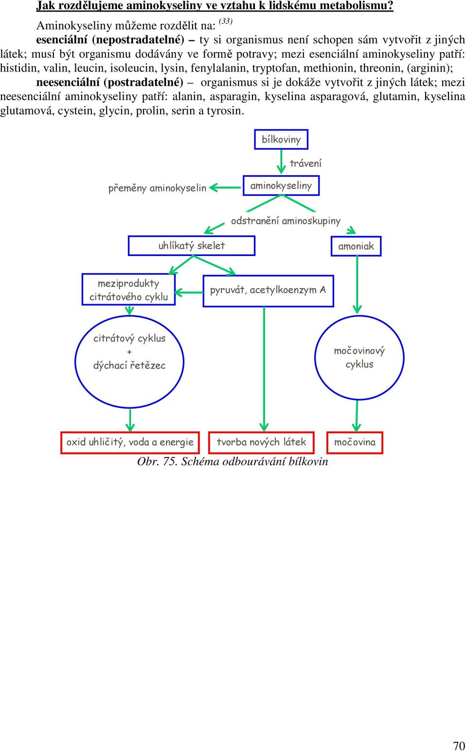 aminokyseliny patří: histidin, valin, leucin, isoleucin, lysin, fenylalanin, tryptofan, methionin, threonin, (arginin); neesenciální (postradatelné) organismus si je dokáže vytvořit z jiných látek;