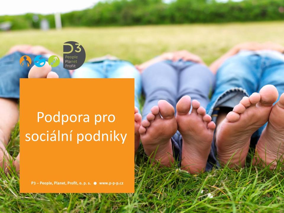 sociální