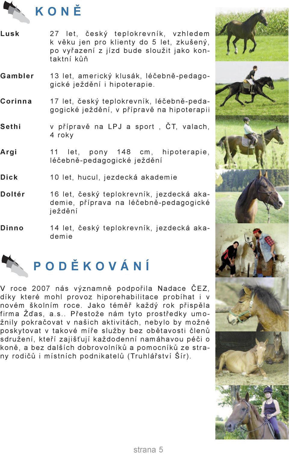 17 let, český teplokrevník, léčebně-pedagogické ježdění, v přípravě na hipoterapii v přípravě na LPJ a sport, ČT, valach, 4 roky argi 11 l e t, p o n y 1 4 8 c m, h i p o t e r a p i e,