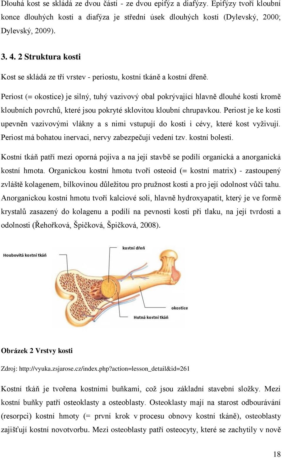 Periost (= okostice) je silný, tuhý vazivový obal pokrývající hlavně dlouhé kosti kromě kloubních povrchů, které jsou pokryté sklovitou kloubní chrupavkou.