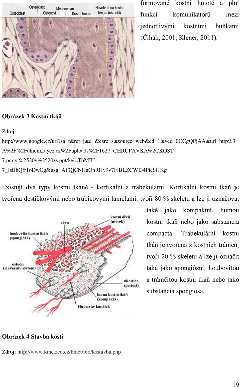 ppt&ei=TbMIU- 7_JsiJhQfr1oDwCg&usg=AFQjCNHaOnRHv9v7FlBLZCWI34PieSIJKg Existují dva typy kostní tkáně - kortikální a trabekulární.