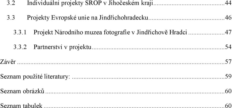 ..47 3.3.2 Partnerství v projektu...54 Závěr.