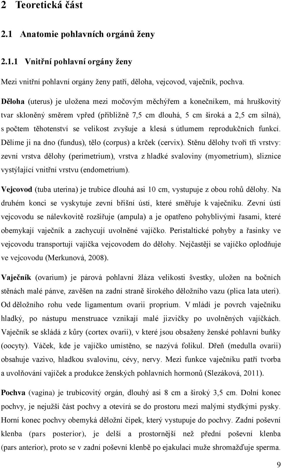 a klesá s útlumem reprodukčních funkcí. Dělíme ji na dno (fundus), tělo (corpus) a krček (cervix).