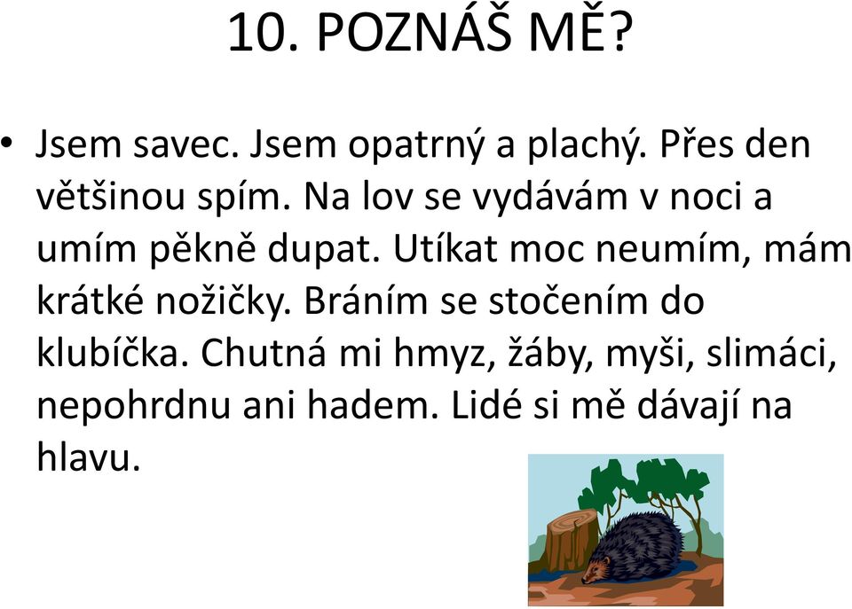 Utíkat moc neumím, mám krátké nožičky.