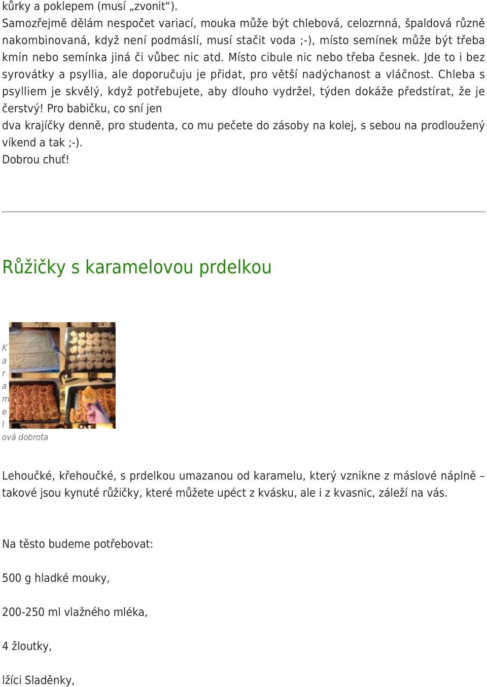 Mís cibul nic nb řb čsnk. Jd i bz syrváky psylli, l dpručuju j přid, pr věší ndýchns vláčns. Chlb s psyllim j skvělý, když přbuj, by dluh vydržl, ýdn dkáž přdsír, ž j črsvý!