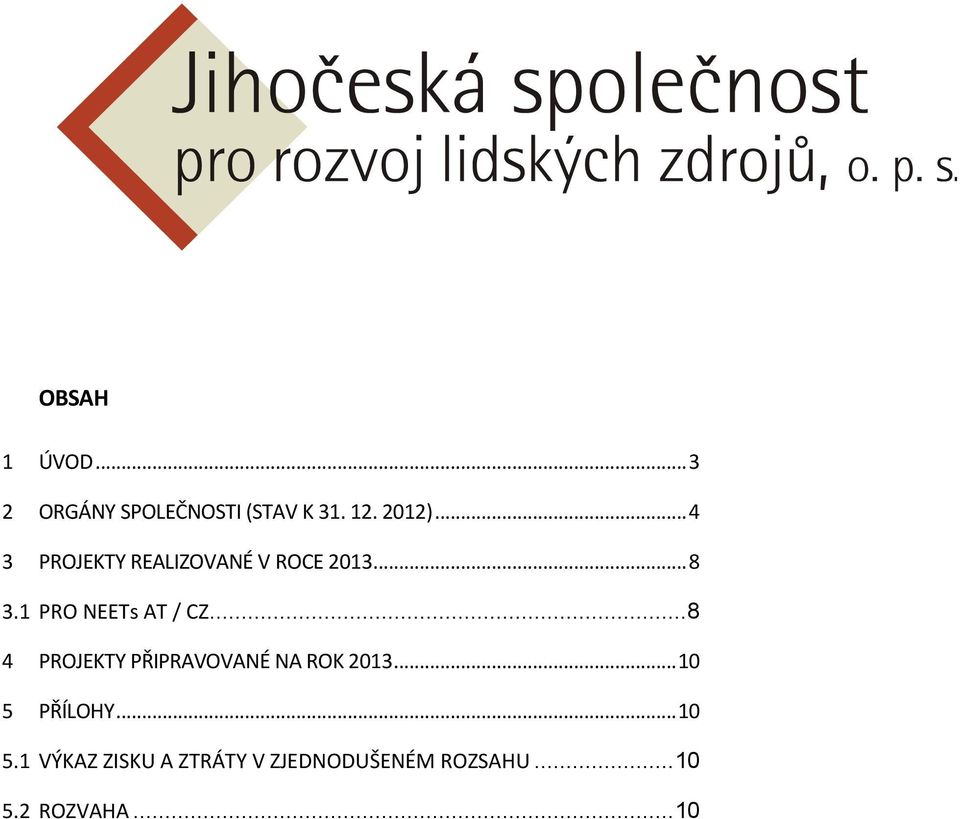 1 PRO NEETs AT / CZ... 8 4 PROJEKTY PŘIPRAVOVANÉ NA ROK 2013.