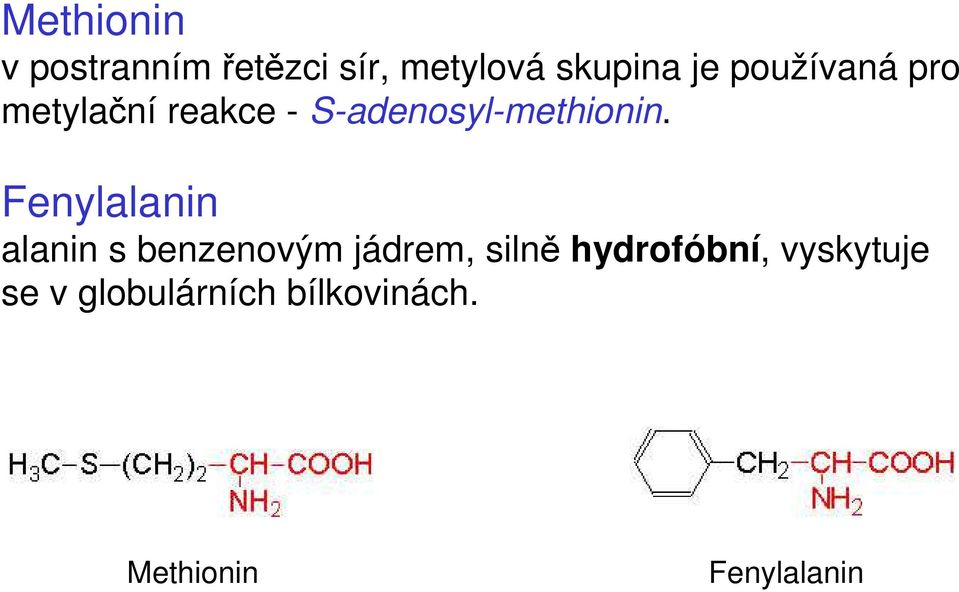 Fenylalanin alanin s benzenovým jádrem, silně hydrofóbní,