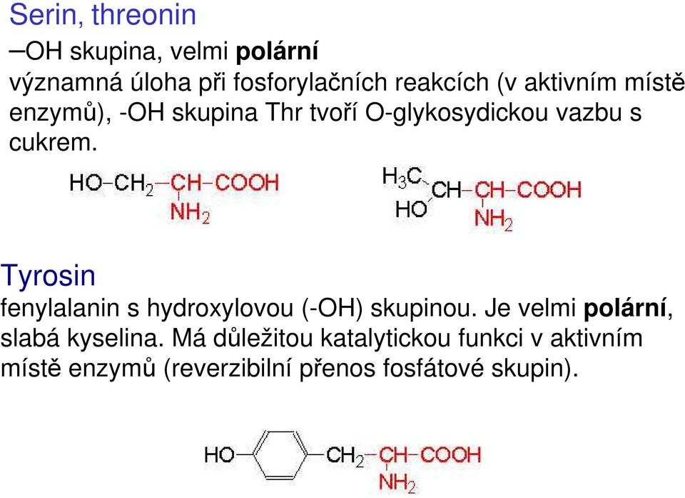 Tyrosin fenylalanin s hydroxylovou (-OH) skupinou. Je velmi polární, slabá kyselina.