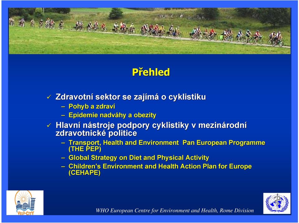 Transport, Health and Environment Pan European Programme (THE PEP) Global Strategy on