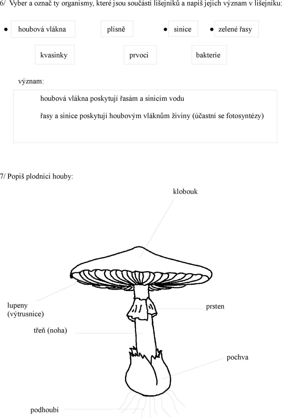 vlákna poskytují řasám a sinicím vodu řasy a sinice poskytují houbovým vláknům živiny