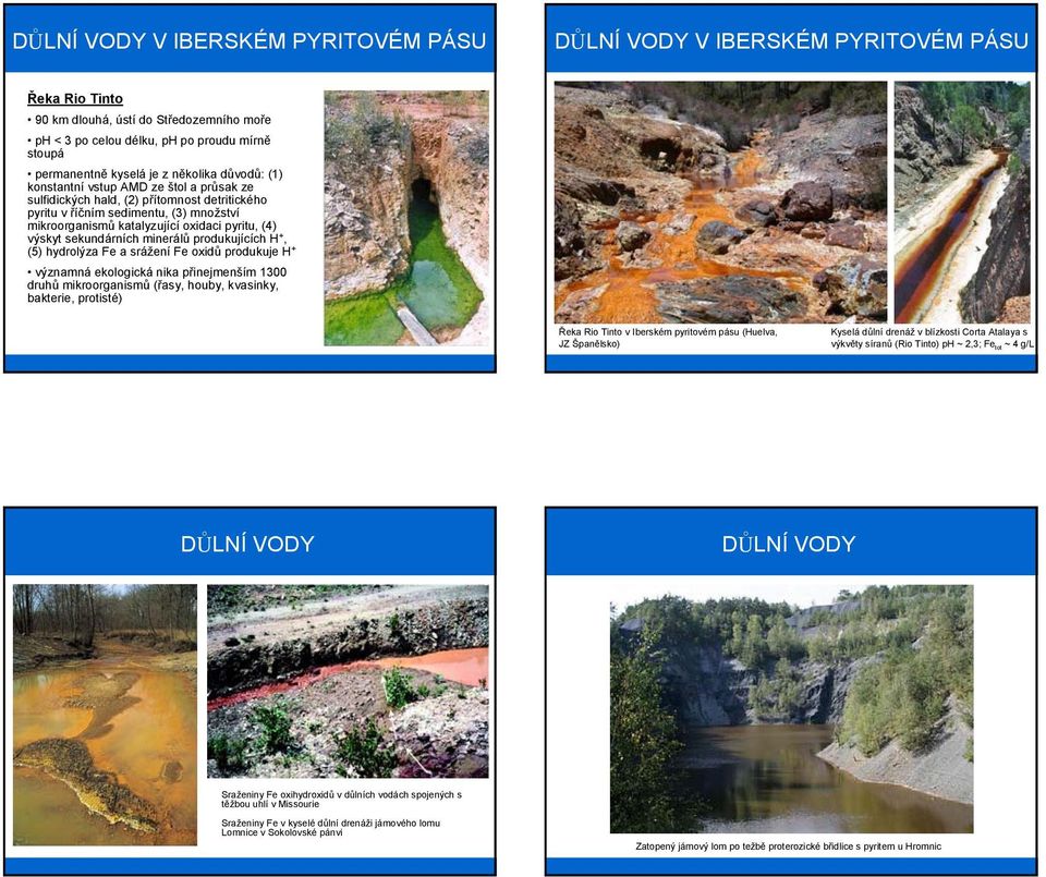 minerálů produkujících H +, (5) hydrolýza Fe a srážení Fe oxidů produkuje H + významná ekologická nika přinejmenším 1300 druhů mikroorganismů (řasy, houby, kvasinky, bakterie, protisté) Řeka Rio