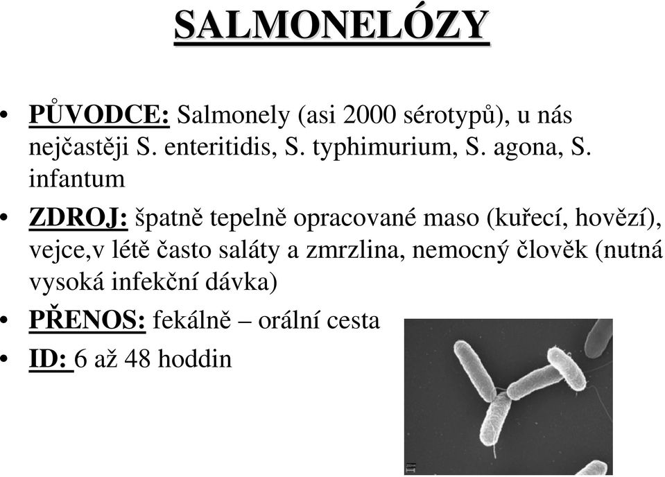 infantum ZDROJ: špatně tepelně opracované maso (kuřecí, hovězí), vejce,v