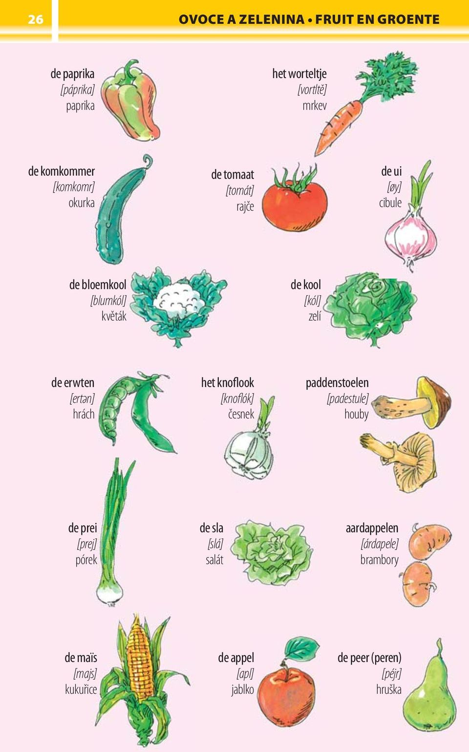 erwten [ertәn] hrách het knoflook [knoflók] česnek paddenstoelen [padestule] houby de prei [prej] pórek de sla