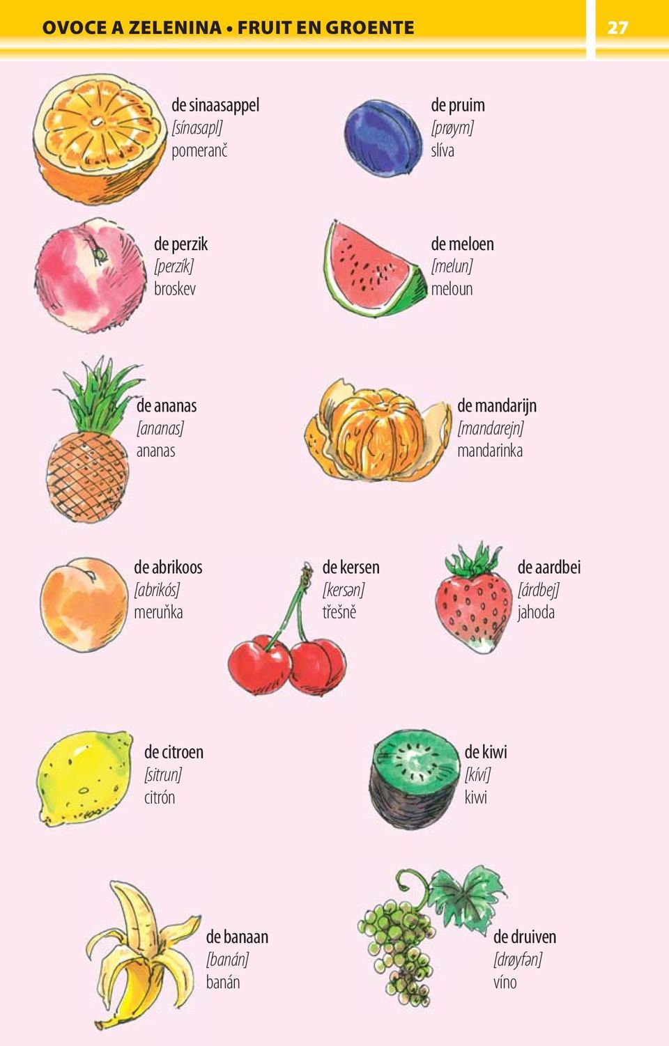 [mandarejn] mandarinka de abrikoos [abrikós] meruňka de kersen [kersәn] třešně de aardbei