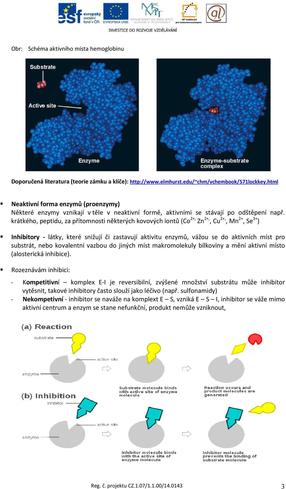 krátkého, peptidu, za přítomnosti některých kovových iontů (Co 2+, Zn 2+,, Cu 2+,, Mn 2+, Se 3+ ) Inhibitory - látky, které snižují či zastavují aktivitu enzymů, vážou se do aktivních míst pro