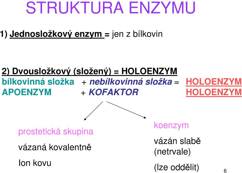 složka = HOLOENZYM APOENZYM + KOFAKTOR HOLOENZYM prostetická