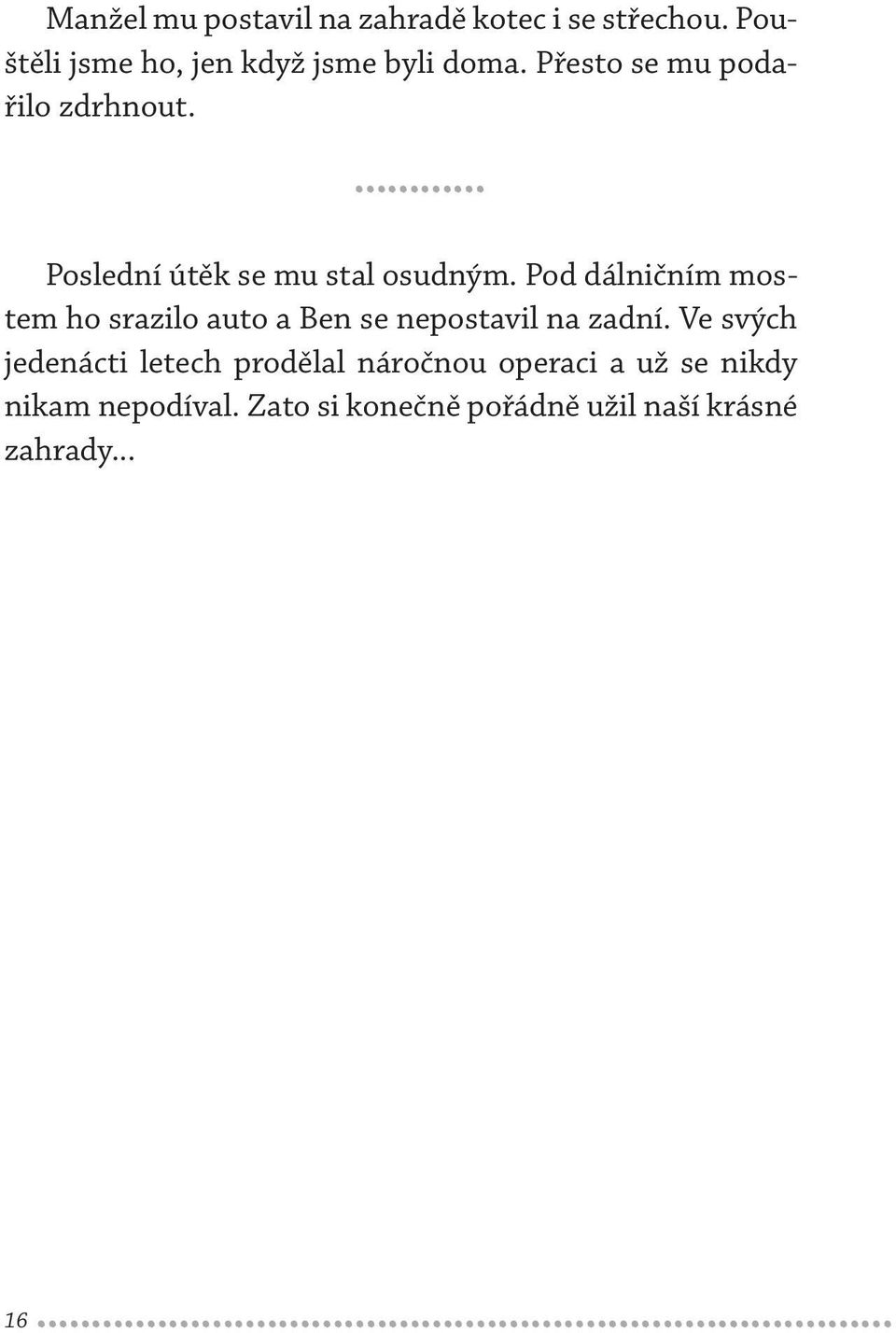 Pod dálničním mostem ho srazilo auto a Ben se nepostavil na zadní.