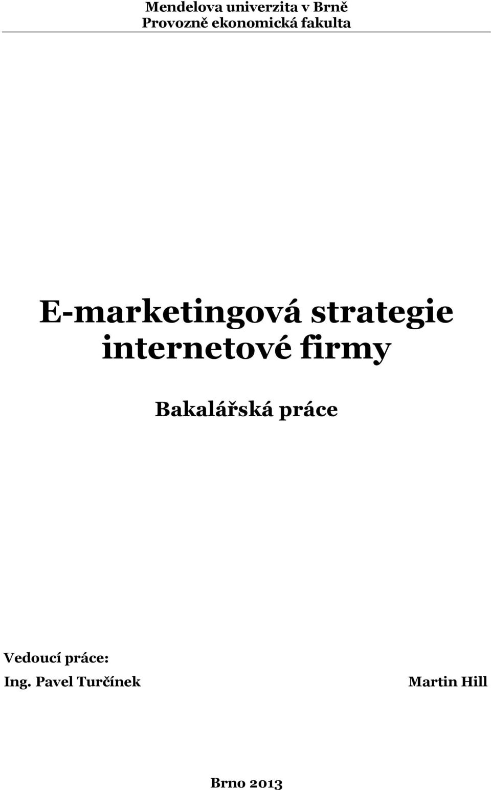 strategie internetové firmy Bakalářská