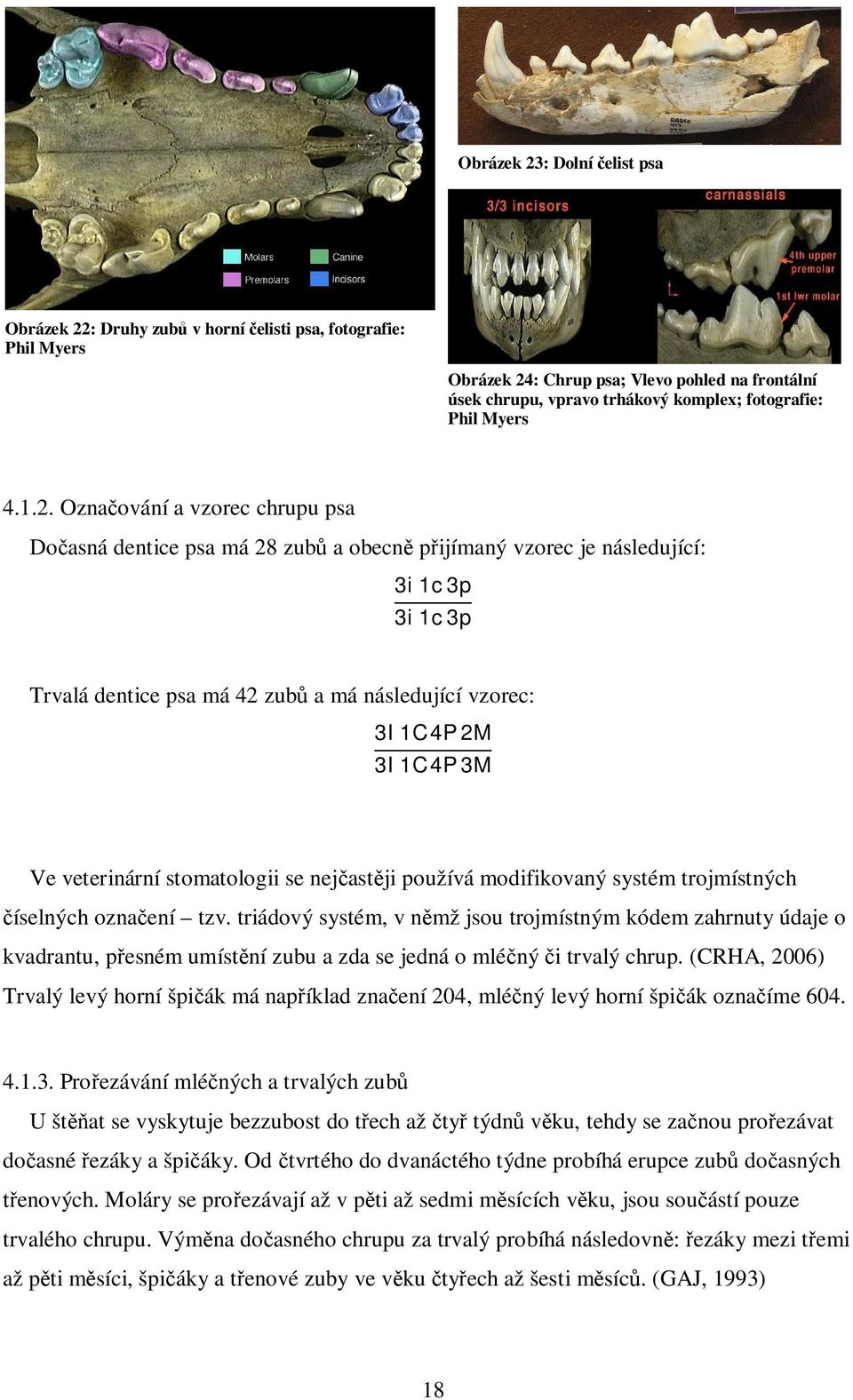 Ozna ování a vzorec chrupu psa Do asná dentice psa má 28 zub a obecn p ijímaný vzorec je následující: 3i 1c 3p 3i 1c 3p Trvalá dentice psa má 42 zub a má následující vzorec: 3I 1C 4P 2M 3I 1C 4P 3M