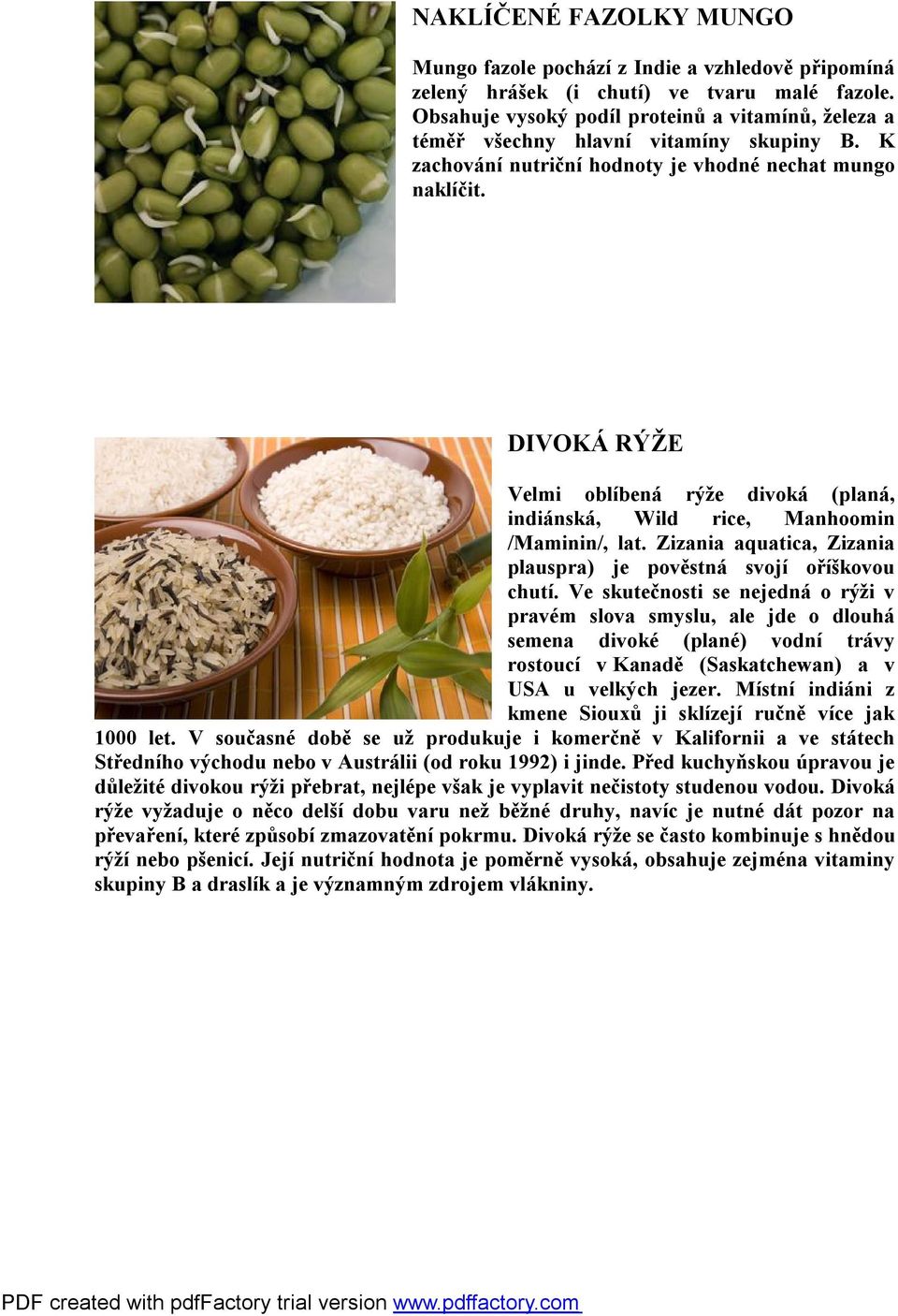 DIVOKÁ RÝŽE Velmi oblíbená rýže divoká (planá, indiánská, Wild rice, Manhoomin /Maminin/, lat. Zizania aquatica, Zizania plauspra) je pověstná svojí oříškovou chutí.