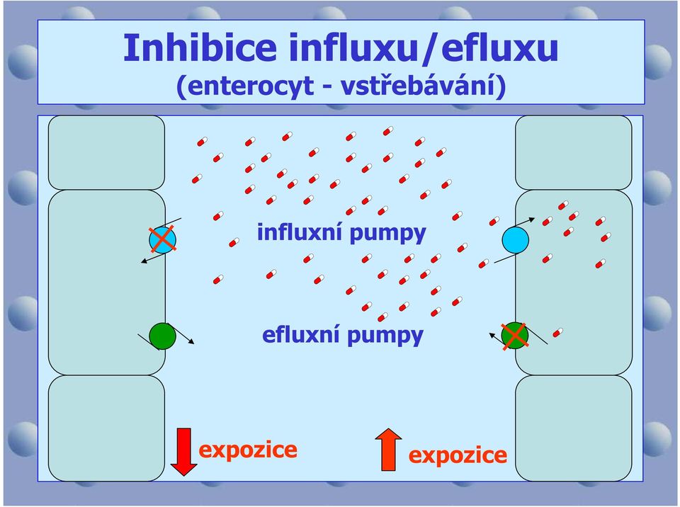 vstřebávání) influxní