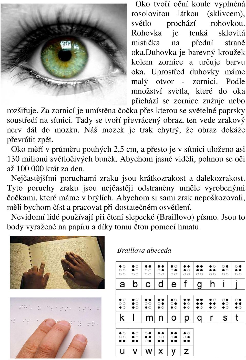 Za zornicí je umístěna čočka přes kterou se světelné paprsky soustředí na sítnici. Tady se tvoří převrácený obraz, ten vede zrakový nerv dál do mozku.