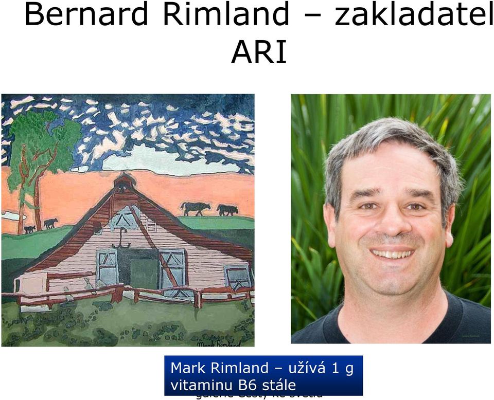 Mark Rimland