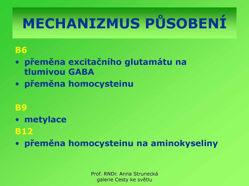 GABA přeměna homocysteinu B9