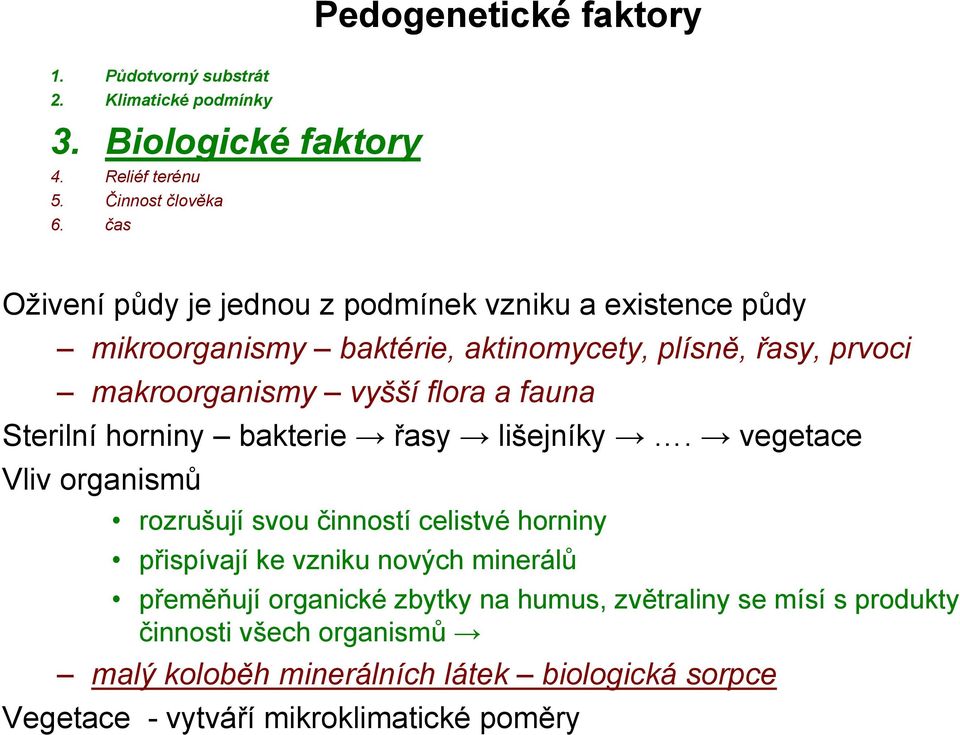 fauna Sterilní horniny bakterie řasy lišejníky.