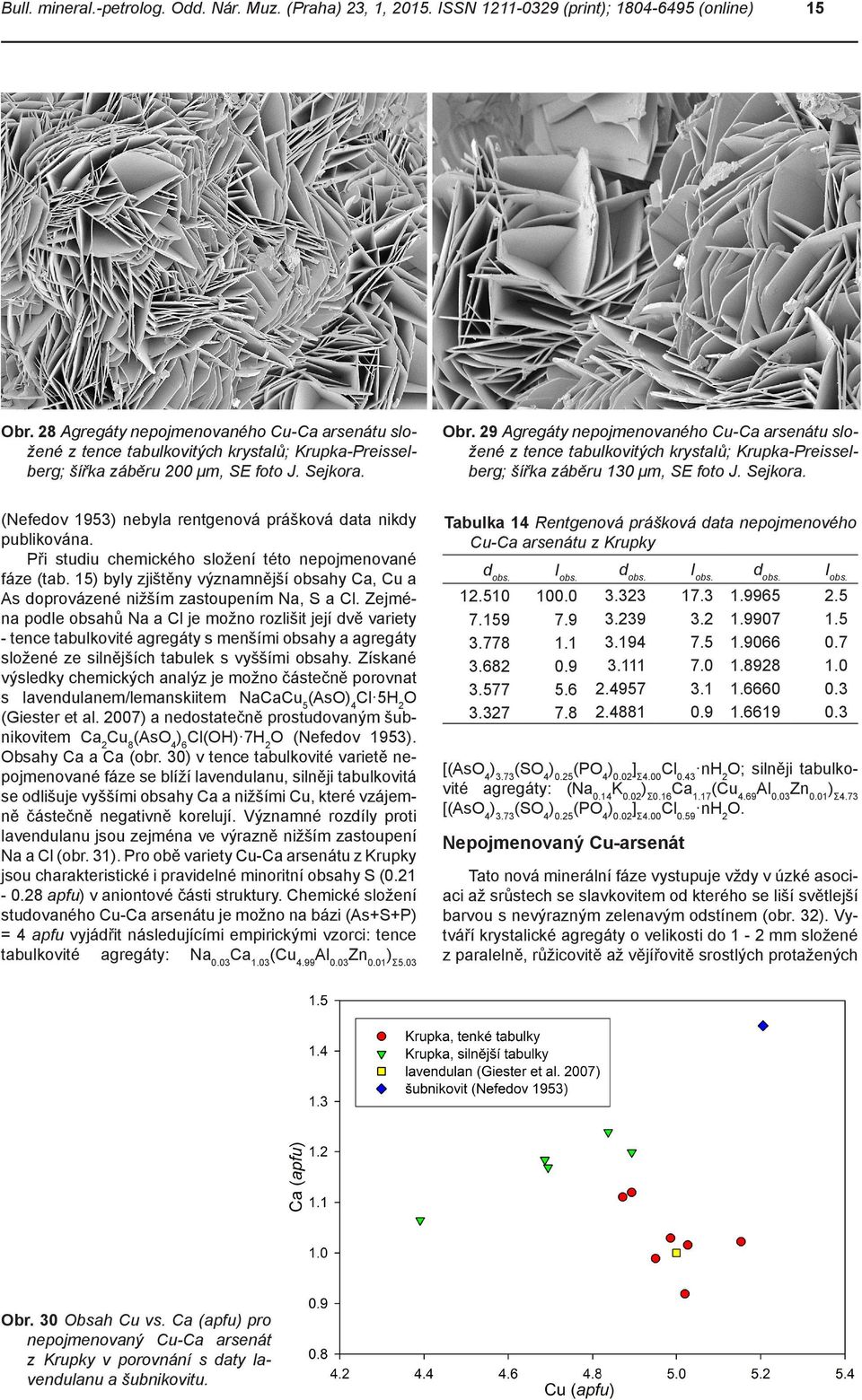 29 Agregáty nepojmenovaného Cu-Ca arsenátu složené z tence tabulkovitých krystalů; Krupka-Preisselberg; šířka záběru μm, SE foto J. Sejkora.