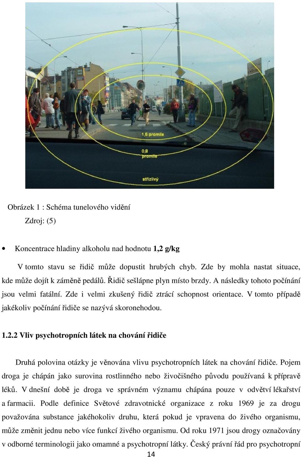 V tomto případě jakékoliv počínání řidiče se nazývá skoronehodou. 1.2.2 Vliv psychotropních látek na chování řidiče Druhá polovina otázky je věnována vlivu psychotropních látek na chování řidiče.