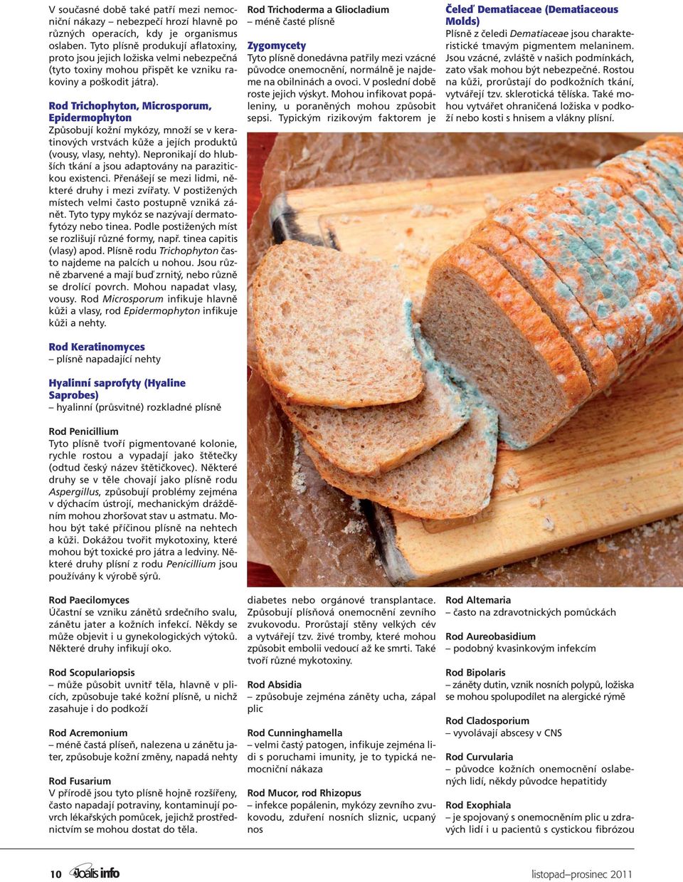 Rod Trichophyton, Microsporum, Epidermophyton Způsobují kožní mykózy, množí se v keratinových vrstvách kůže a jejích produktů (vousy, vlasy, nehty).