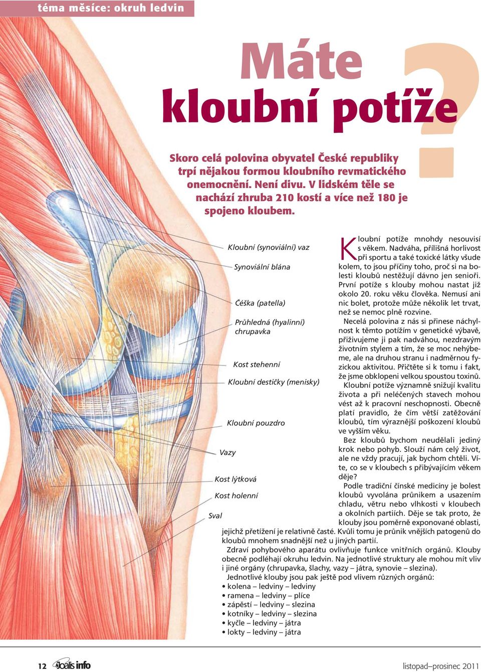 Sval Kloubní (synoviální) vaz Vazy Synoviální blána Čéška (patella) Průhledná (hyalinní) chrupavka Kost stehenní Kloubní destičky (menisky) Kloubní pouzdro Kost lýtková Kost holenní Kloubní potíže