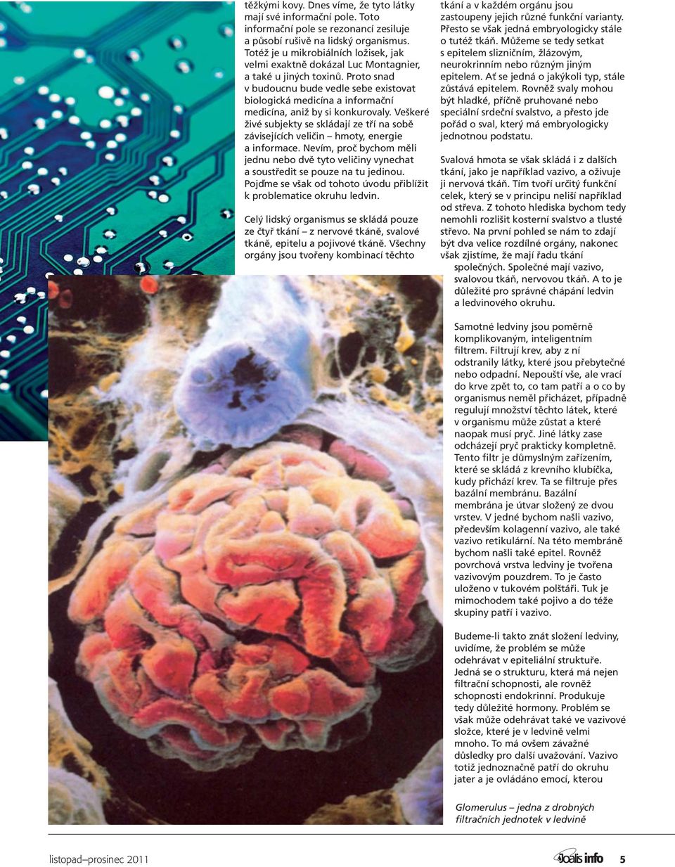 Proto snad v budoucnu bude vedle sebe existovat biologická medicína a informační medicína, aniž by si konkurovaly.