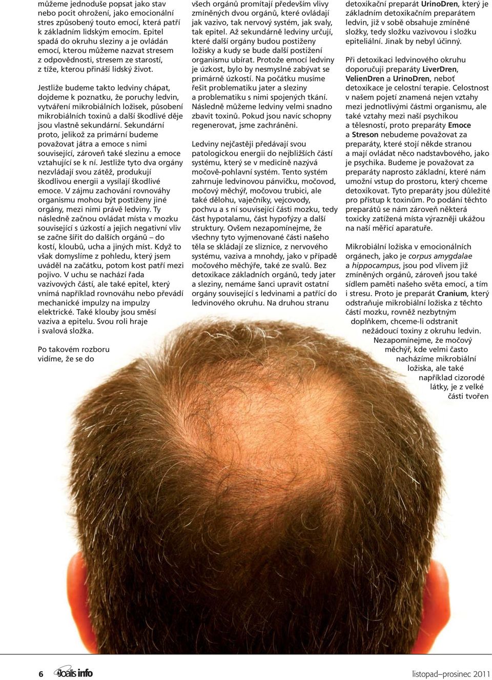 Jestliže budeme takto ledviny chápat, dojdeme k poznatku, že poruchy ledvin, vytváření mikrobiálních ložisek, působení mikrobiálních toxinů a další škodlivé děje jsou vlastně sekundární.