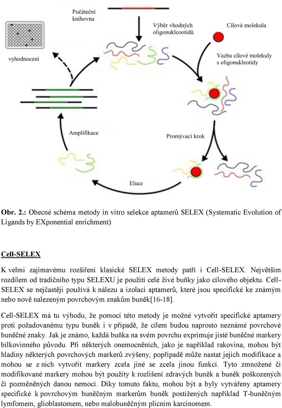Největším rozdílem od tradičního typu SELEXU je použití celé živé buňky jako cílového objektu.