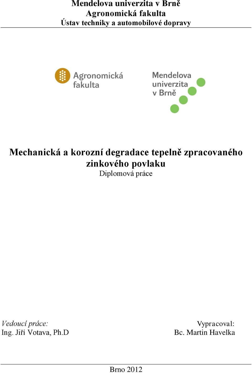 zpracovaného zinkového povlaku Diplomová práce Vedoucí práce: