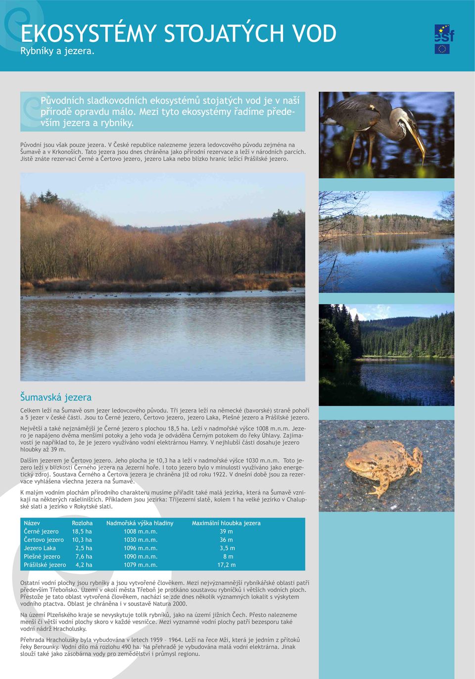 Tato jezera jsou dnes chránìna jako pøírodní rezervace a leží v národních parcích. Jistì znáte rezervaci Èerné a Èertovo jezero, jezero Laka nebo blízko hranic ležící Prášilské jezero.