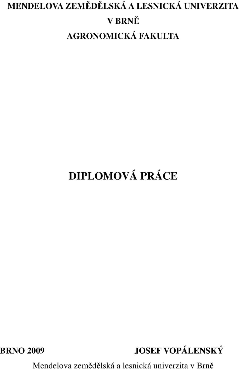 DIPLOMOVÁ PRÁCE BRNO 2009 JOSEF