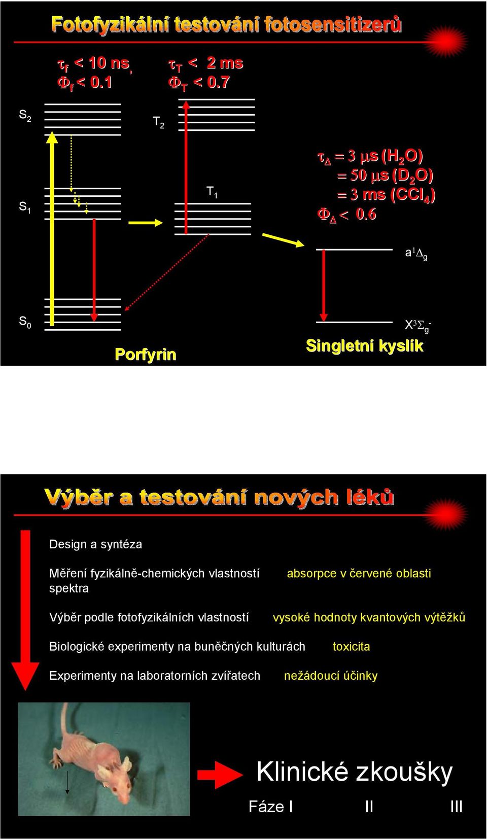 podle fotofyzikálních vlastností absorpce v červené oblasti vysoké hodnoty kvantových výtěžků Biologické experimenty