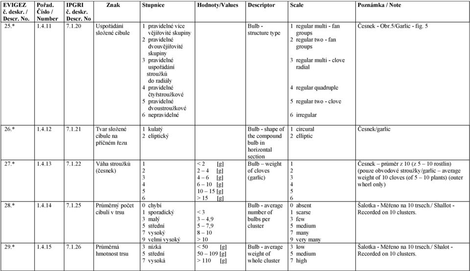 5 regular two - clove 6 irregular Česnek - Obr5/Garlic - fig 5 26* 1412 7121 Tvar složené cibule na příčném řezu 27* 1413 7122 Váha stroužků (česnek) 28* 1414 7125 Průměrný počet cibulí v trsu 29*