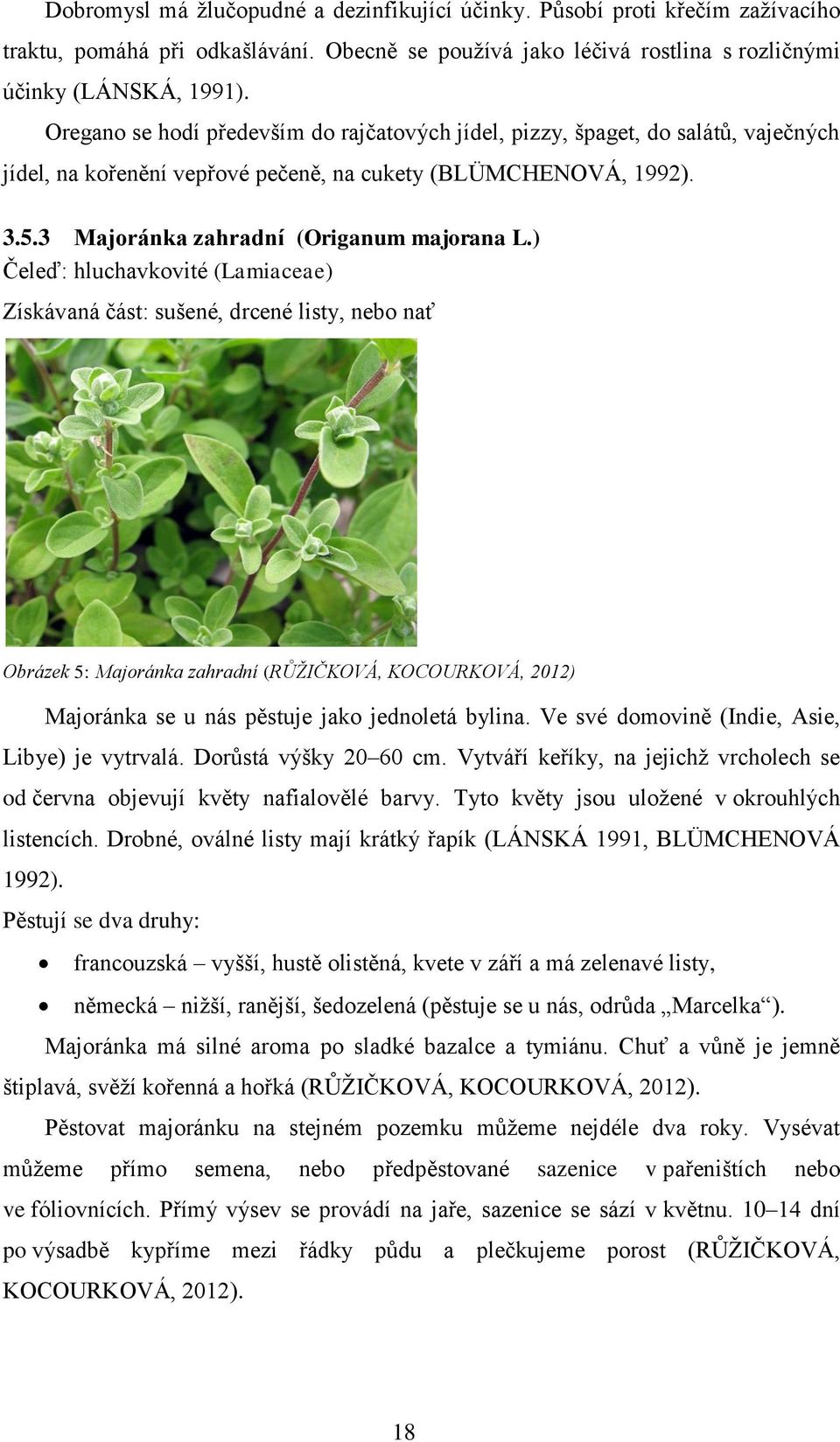 ) Čeleď: hluchavkovité (Lamiaceae) Získávaná část: sušené, drcené listy, nebo nať Obrázek 5: Majoránka zahradní (RŮŽIČKOVÁ, KOCOURKOVÁ, 2012) Majoránka se u nás pěstuje jako jednoletá bylina.