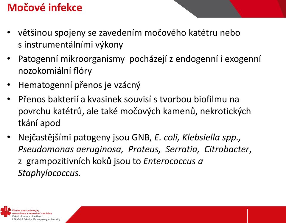 tvorbou biofilmu na povrchu katétrů, ale také močových kamenů, nekrotických tkání apod Nejčastějšími patogeny jsou GNB, E.