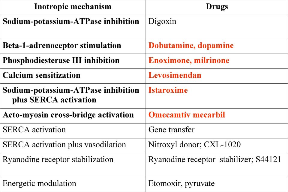 SERCA activation Istaroxime Acto-myosin cross-bridge activation Omecamtiv mecarbil SERCA activation Gene transfer SERCA activation