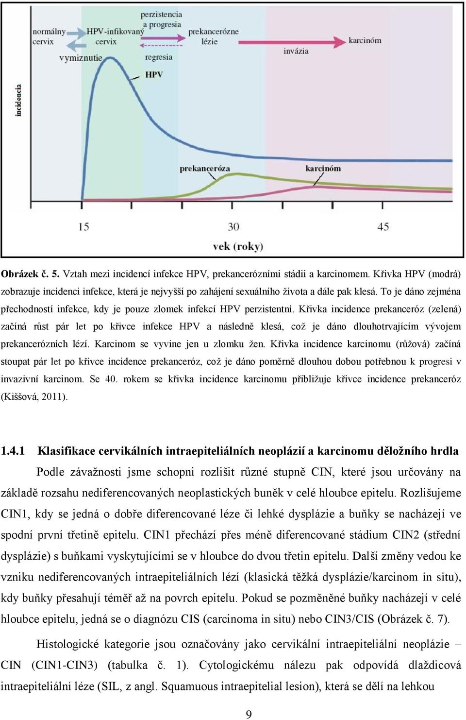 Křivka incidence prekanceróz (zelená) začíná růst pár let po křivce infekce HPV a následně klesá, což je dáno dlouhotrvajícím vývojem prekancerózních lézí. Karcinom se vyvine jen u zlomku žen.